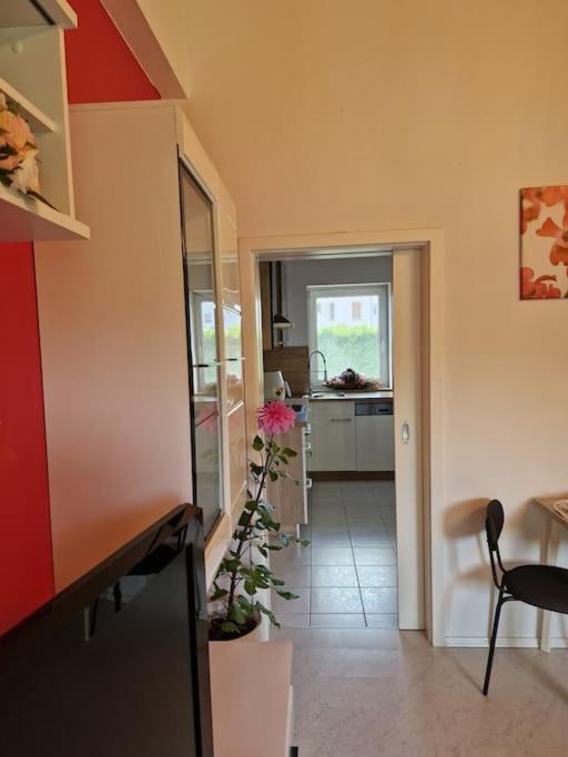Ferienwohnung Bayernbrise Рордорф Екстер'єр фото